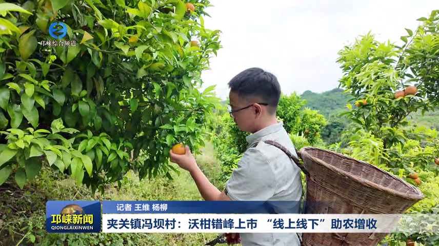 【20260519】夹关镇冯坝村：
