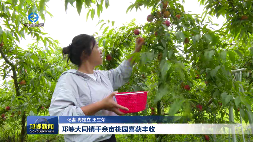 【20260519】邛崃大同镇千余