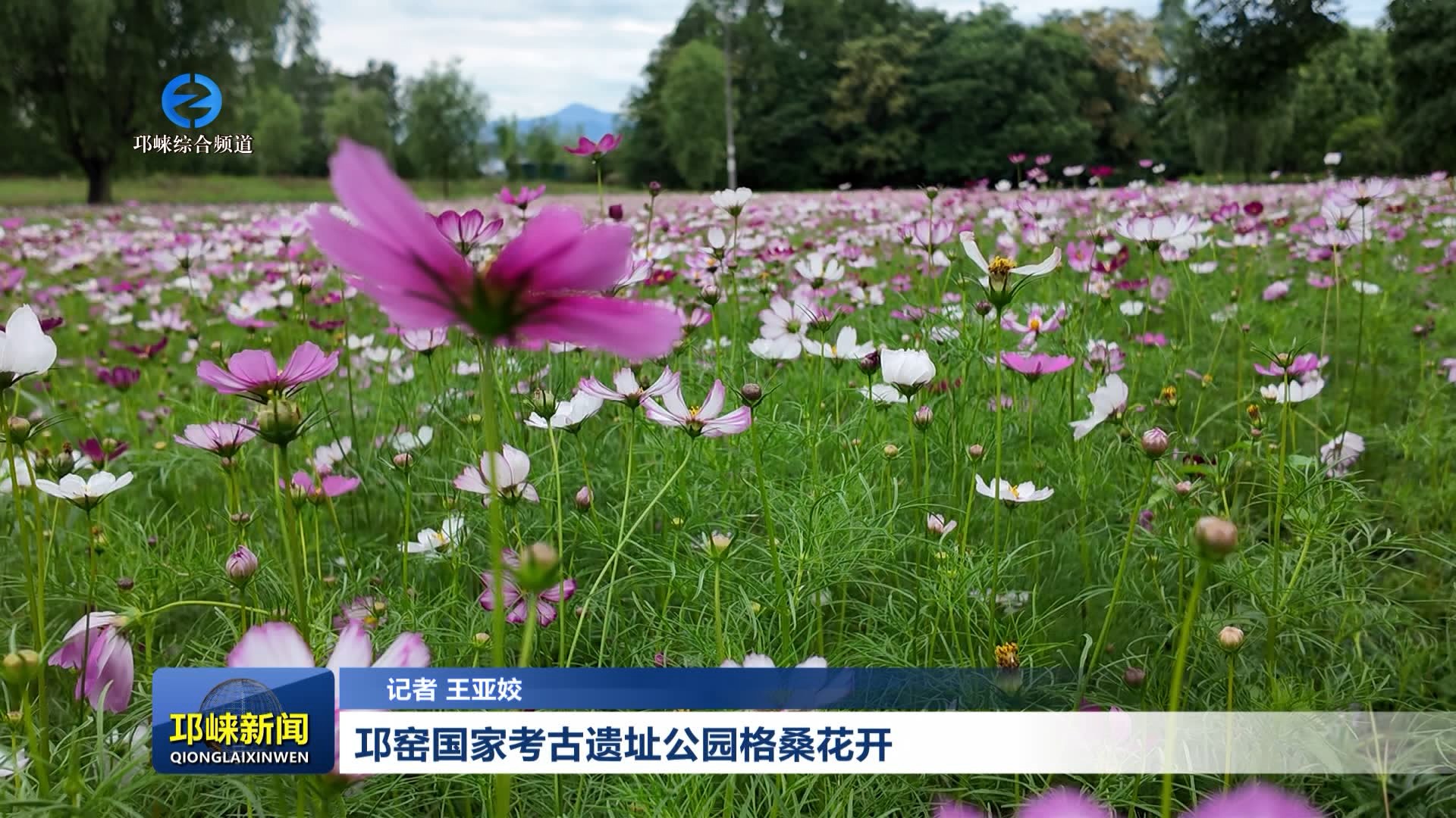 【20260521】邛窑国家考古遗