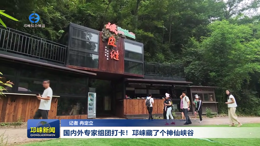 【20260601】国内外专家组团