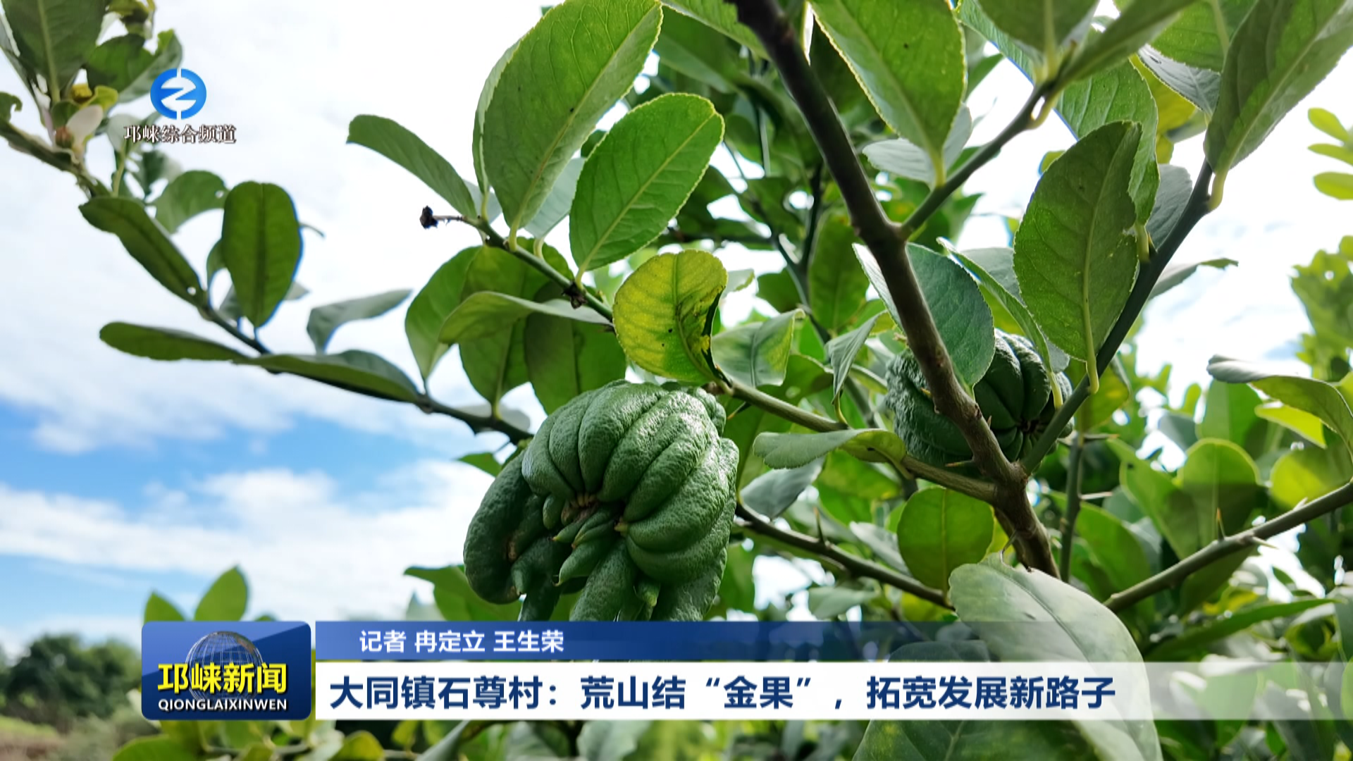 【20260622】大同镇石尊村：