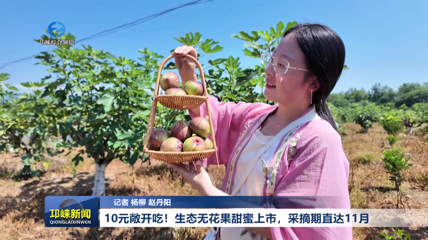 【20260715】10元敞开吃！生