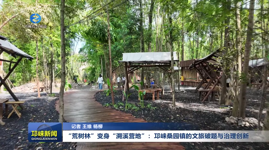 【20260715】“荒树林”变身