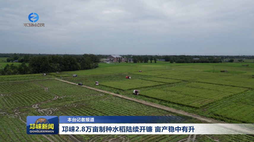 【20260820】邛崃2.8万亩制种