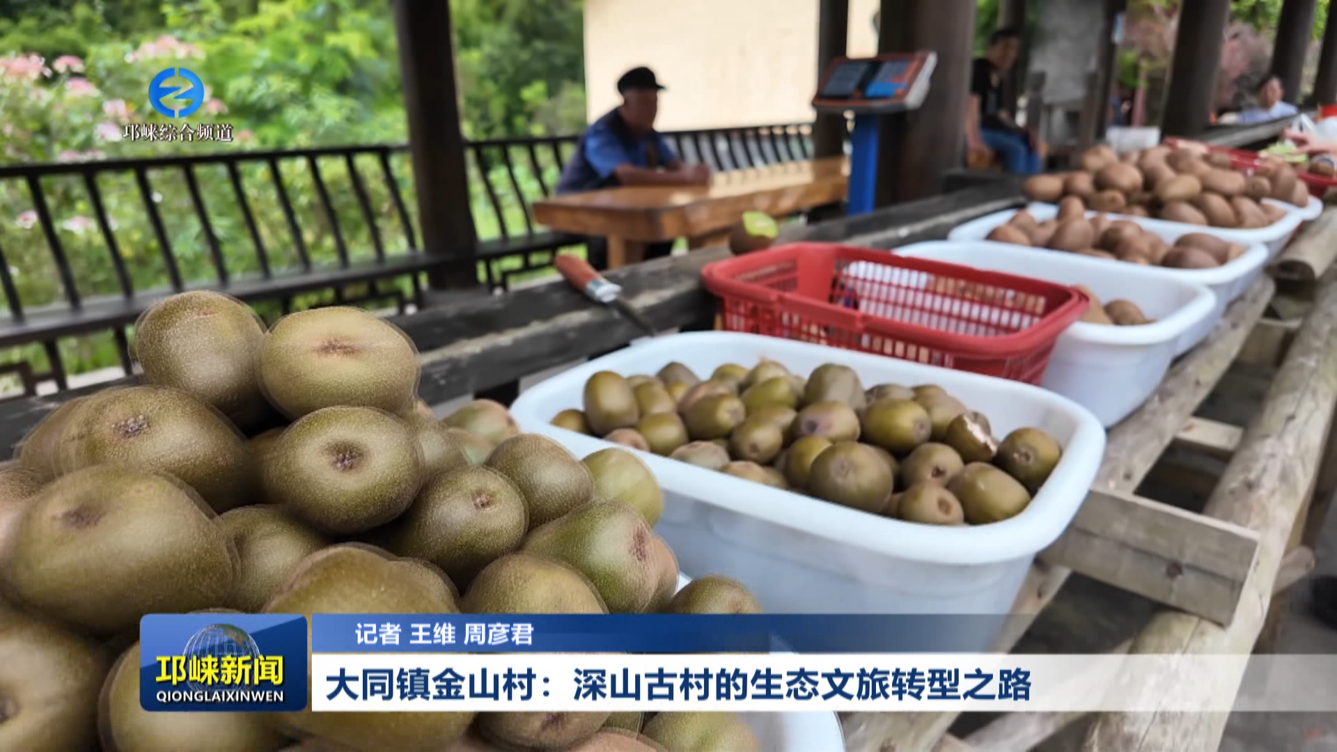 【20260915】大同镇金山村：