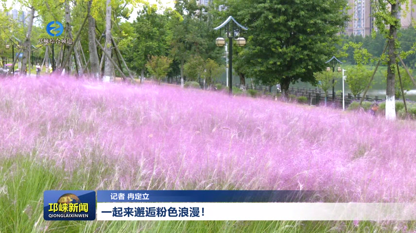 【20260922】一起来邂逅粉色