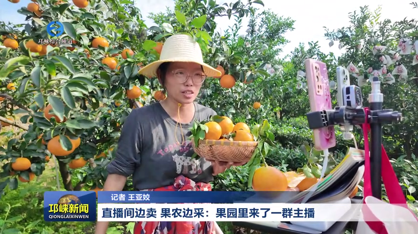 【20261020】直播间边卖 果