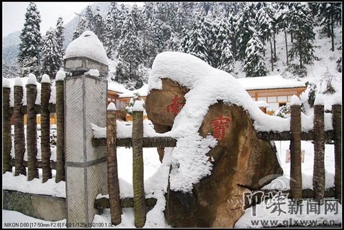 南宝雪景