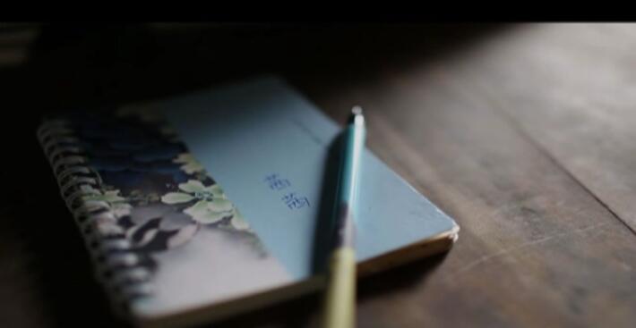 公益广告——茜茜日记
