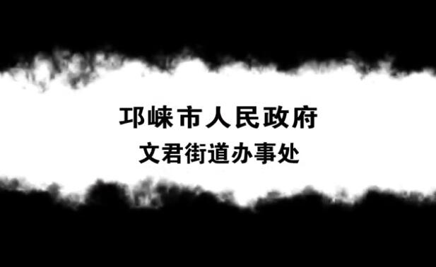 文君街道办