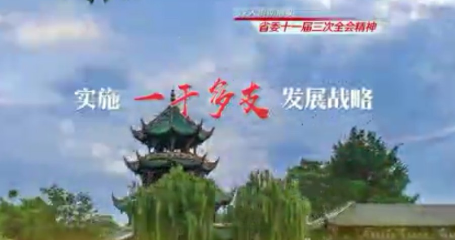 省委十一届三次全会宣传片《一干多支篇》