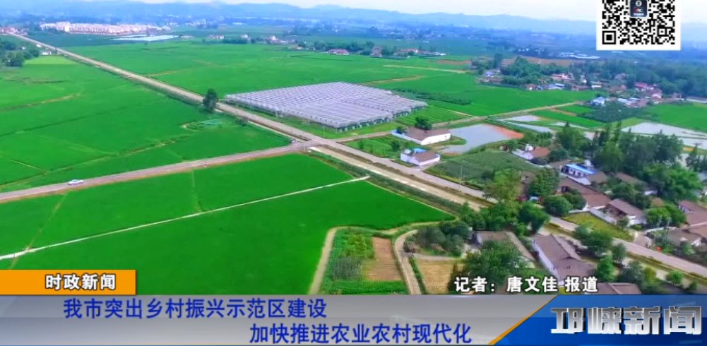 【20190116】我市突出乡村振