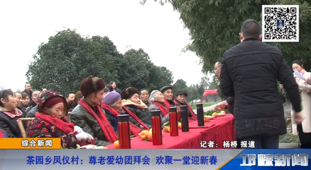 【20190121】茶园乡凤仪村：