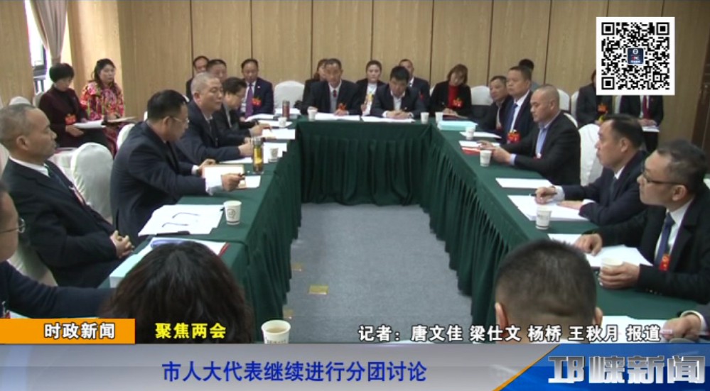【20190321】市人大代表继续