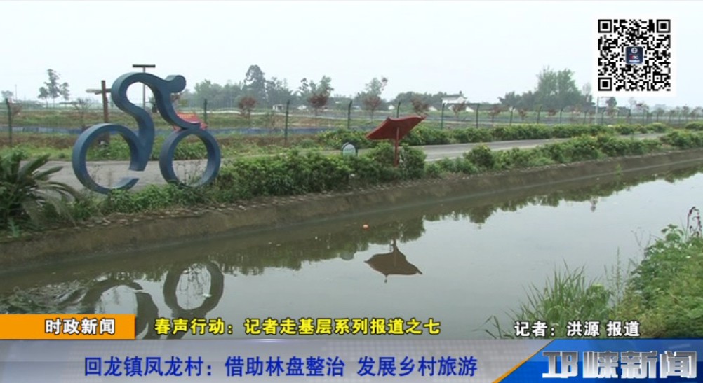 【20190404】回龙镇凤龙村：