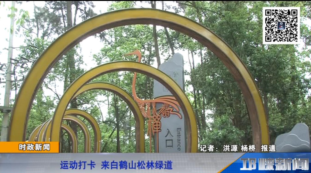 【20190416】运动打卡 来白
