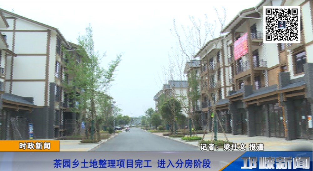 【20190422】茶园乡土地整理