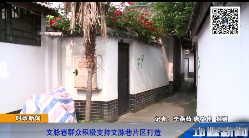 【20190430】文脉巷群众积极