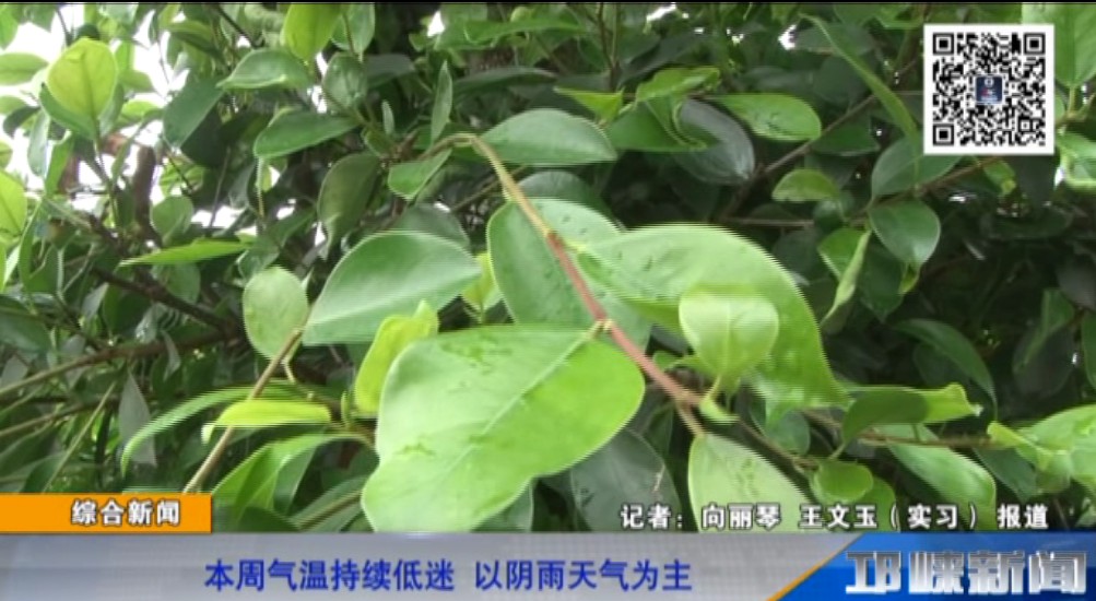 【20190506】本周气温持续低