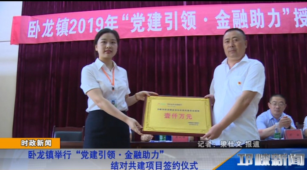 【20190613】卧龙镇举行“党