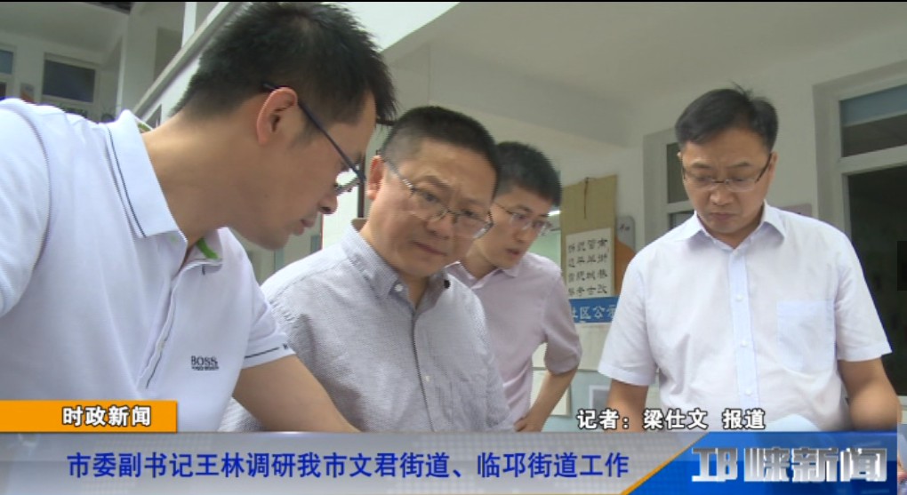 【20190704】市委副书记王林