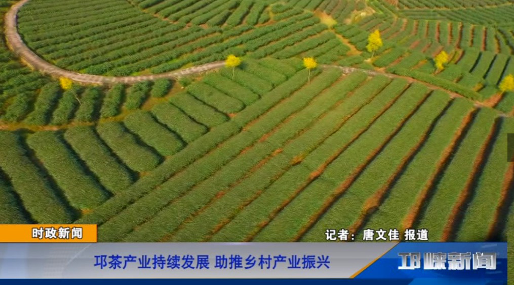 【20190722】邛茶产业持续发