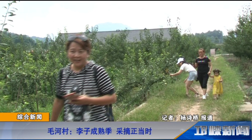 【20190806】毛河村：李子成