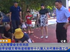 【20190816】刘忠赴羊安镇文
