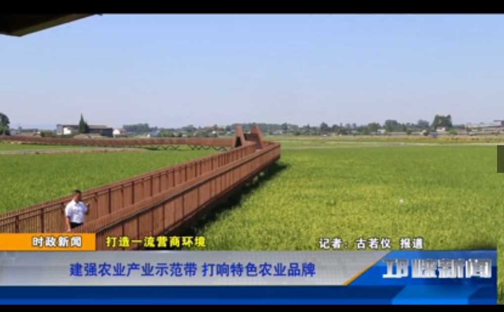 【20190816】建强农业产业示