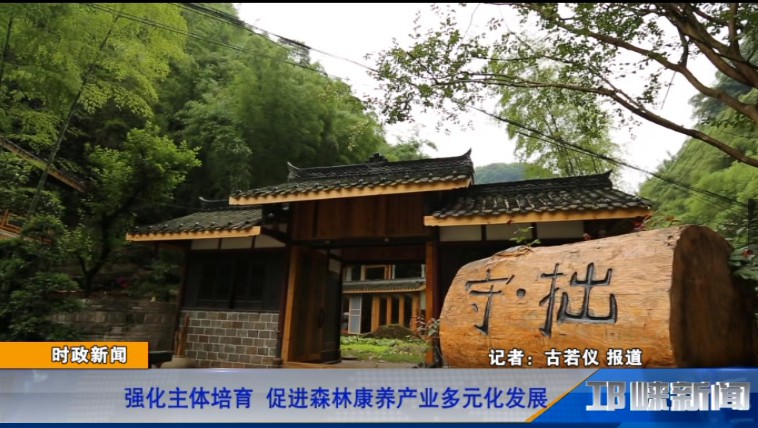 【20190909】强化主体培育