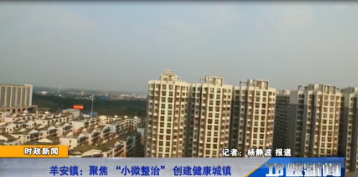 【20191031】 羊安镇：聚焦