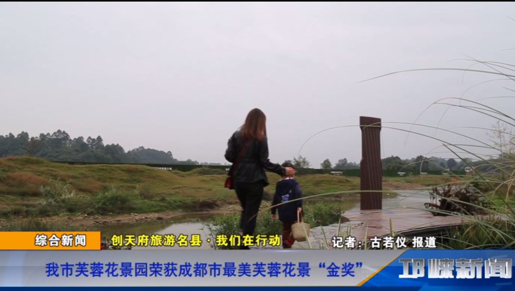 【20191107】我市芙蓉花景园