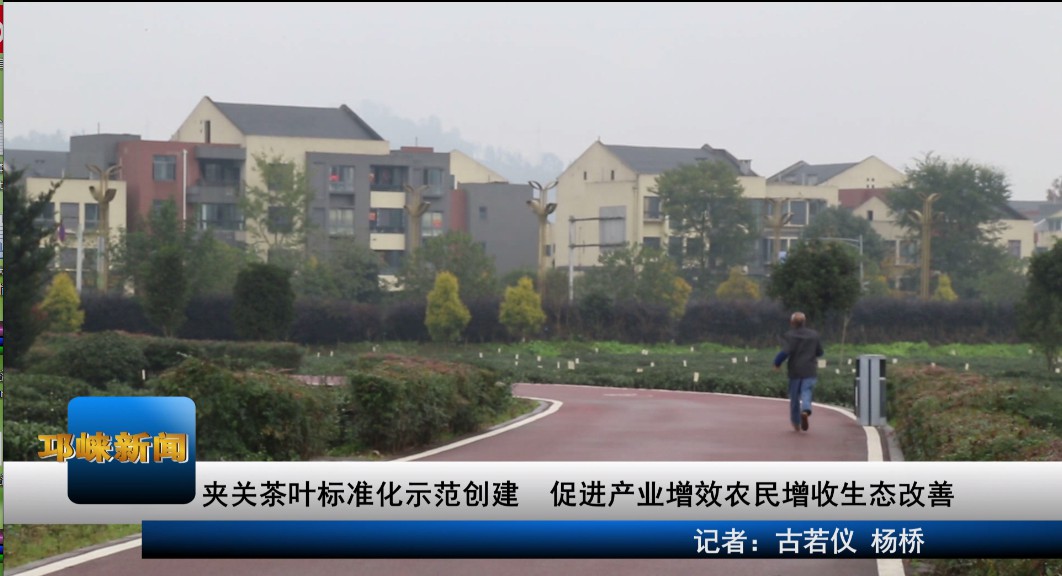 【20191128】夹关茶叶标准化