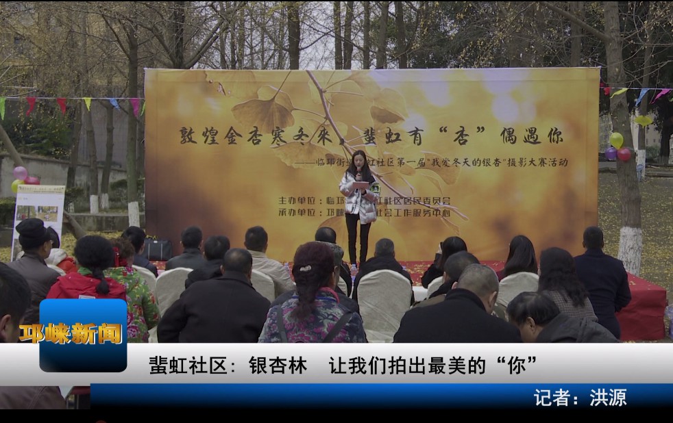【20191219】蜚虹社区：银杏