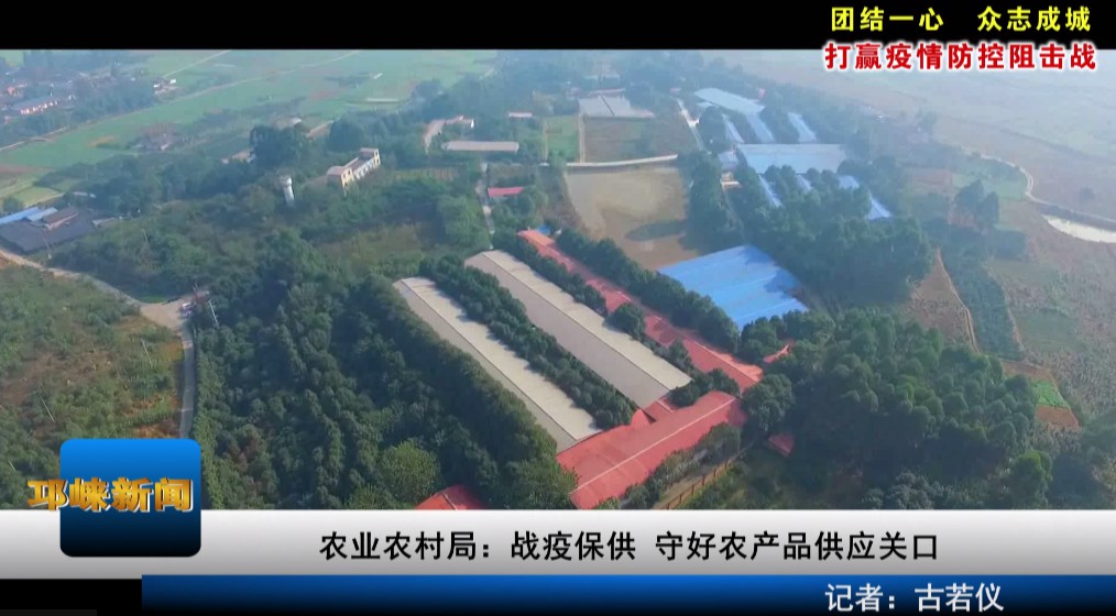 【20200210】农业农村局：战