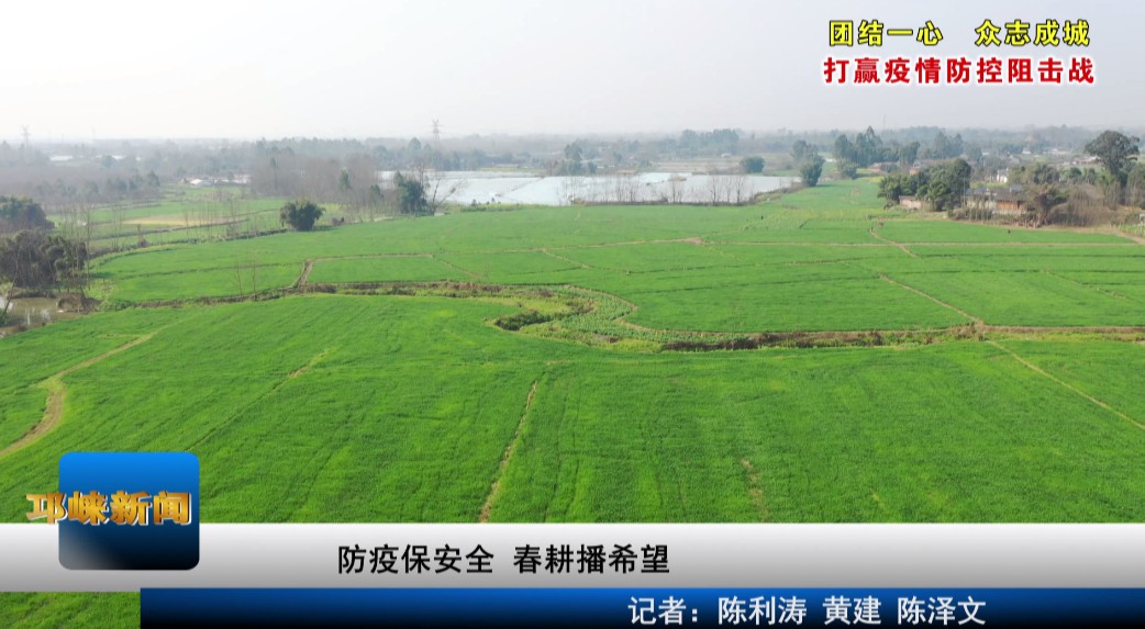 【20200212】防疫保安全 春