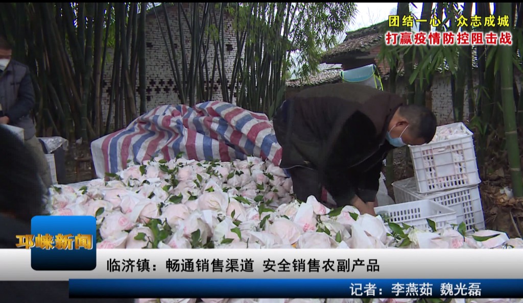 【20200217】临济镇 畅通销