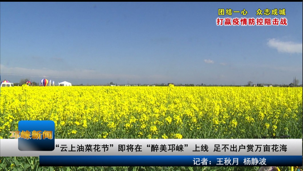 【20200223】“云上油菜花节