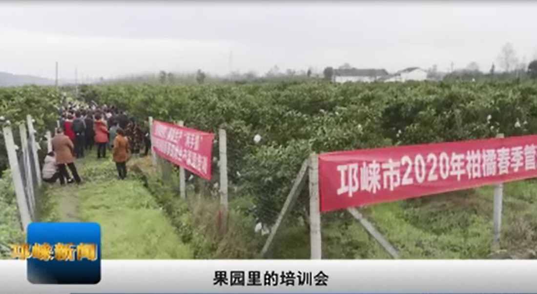 【20200228】果园里的培训会