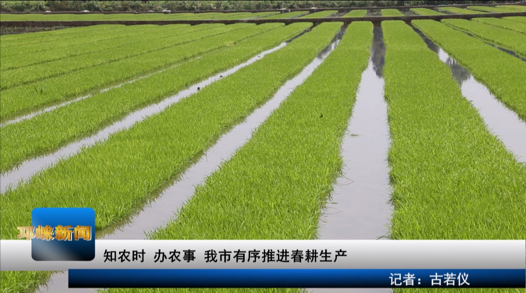 【20200416】知农时 办农事