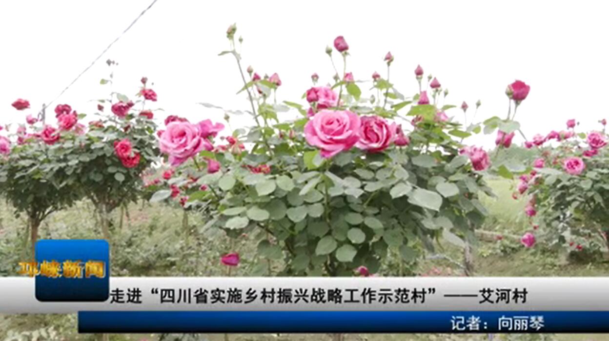 【20200422】走进“四川省实