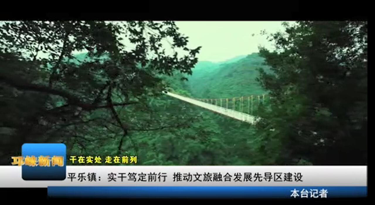 【20200430】平乐镇：实干笃
