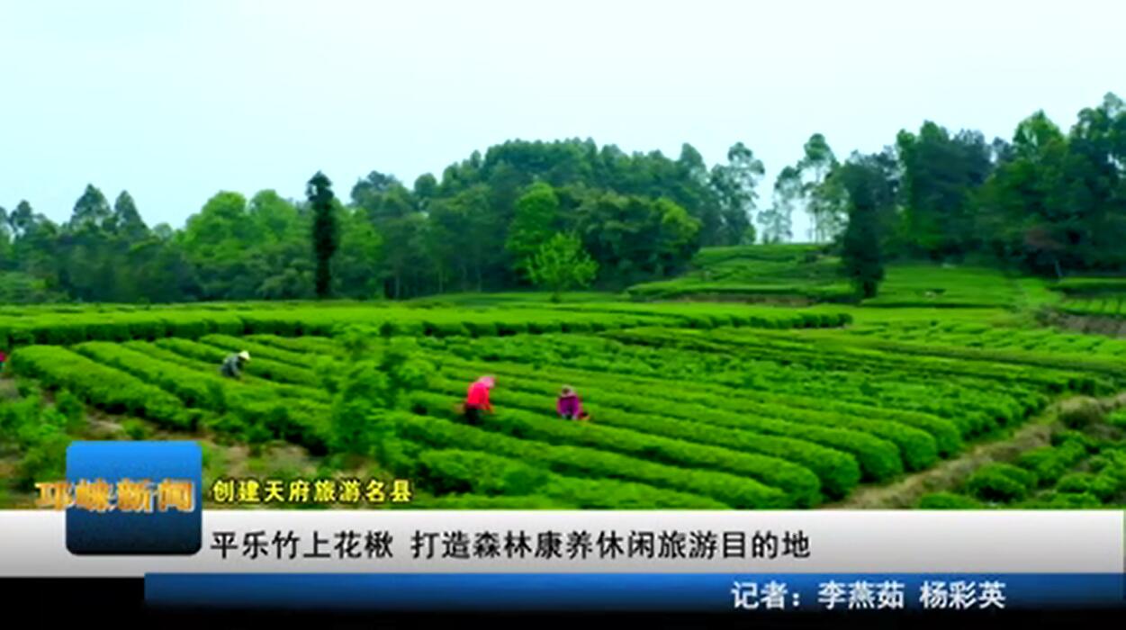 【20200506】平乐竹上花楸