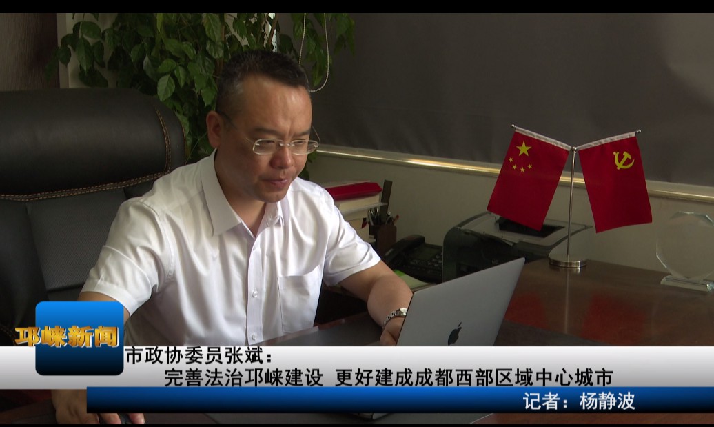 【20200514】市政协委员张斌