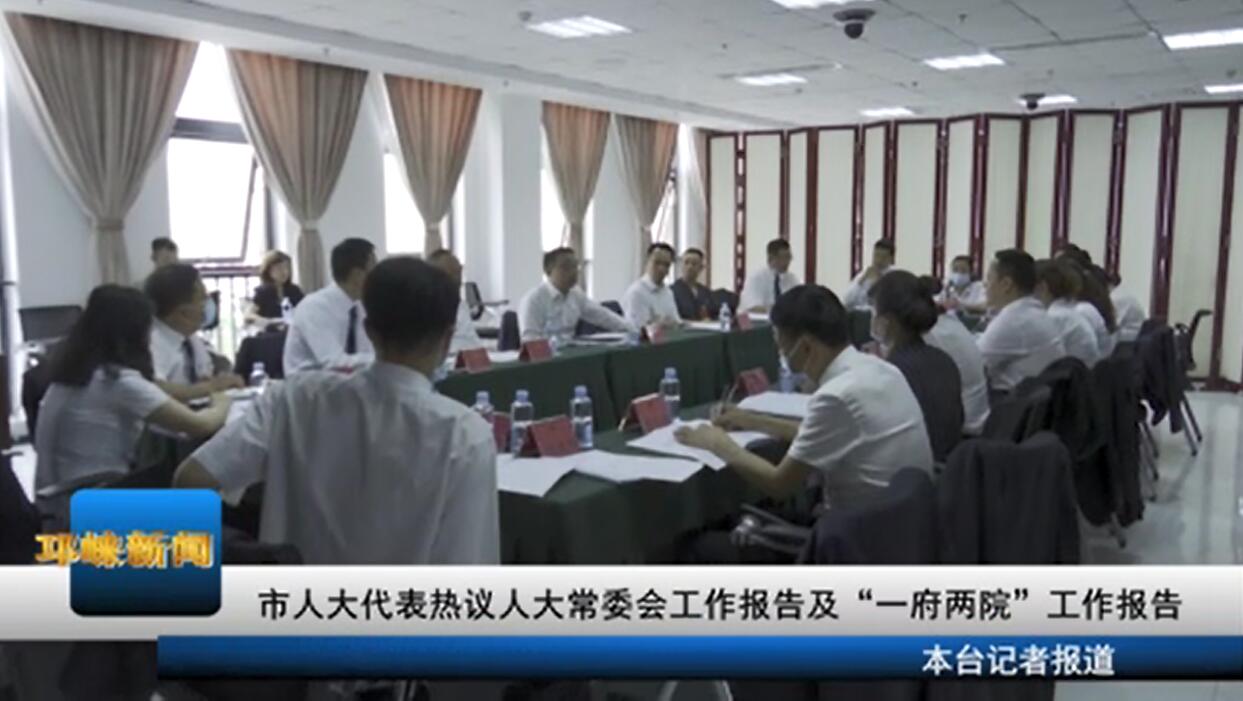 【20200520】市人大代表热议