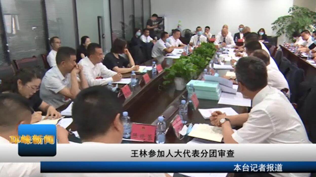 【20200520】王林参加人大代