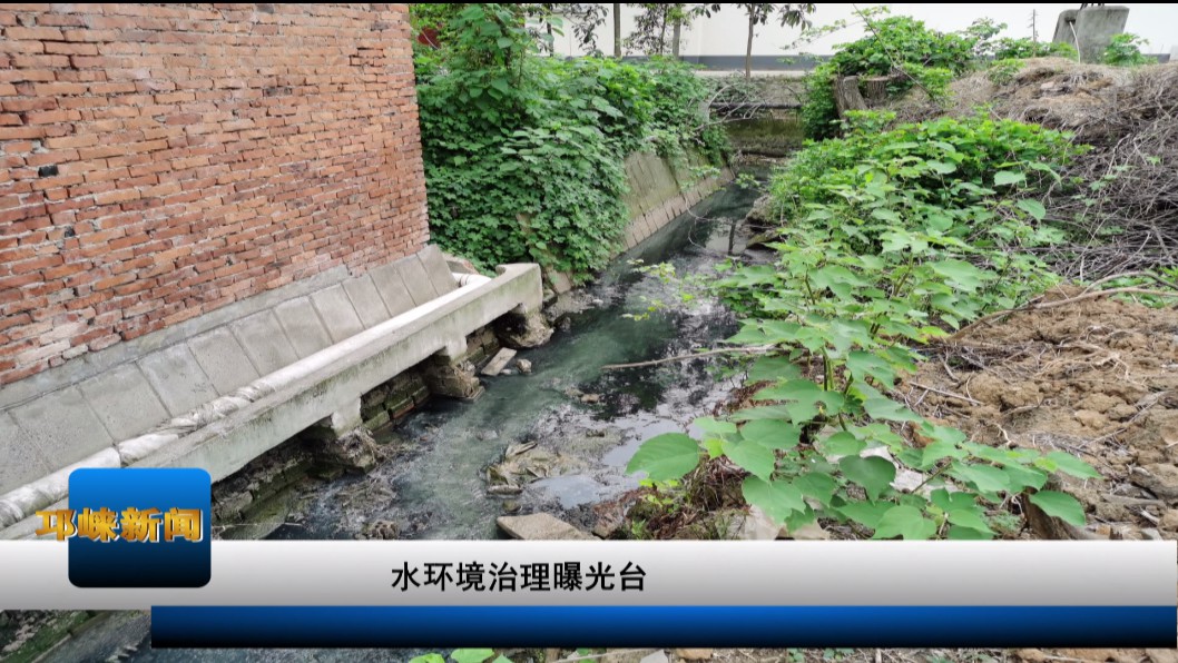 【20200604】水环境治理曝光