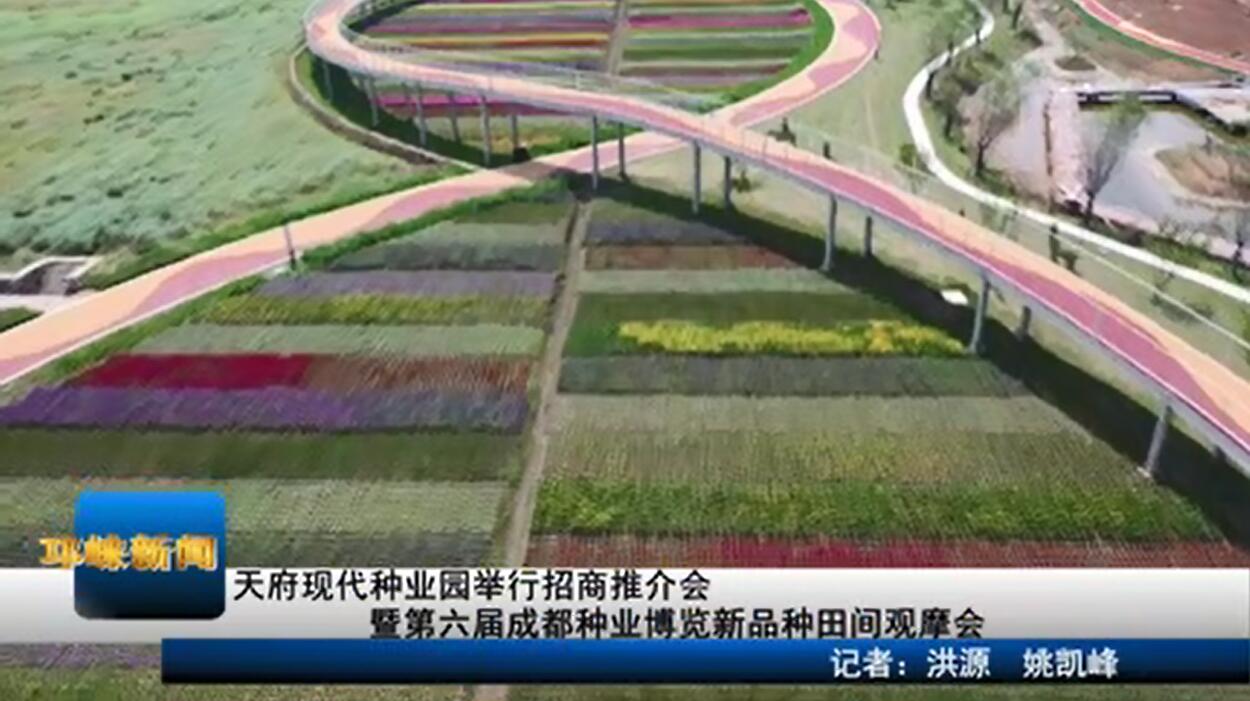 【20200615】天府现代种业园