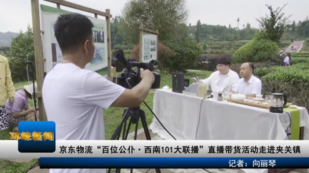 【20200617】京东物流“百位