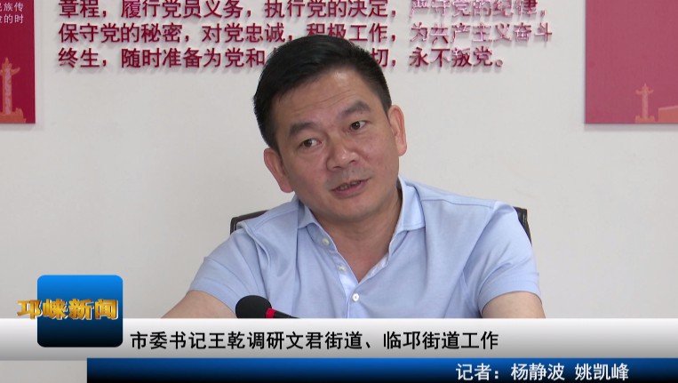 【20200707】市委书记王乾调